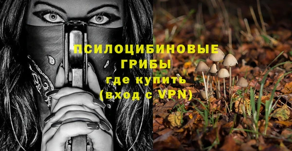 СК Бородино
